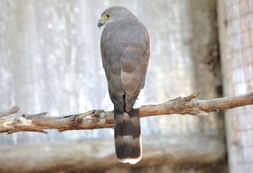 World of Birds Wildlife Sanctuary.